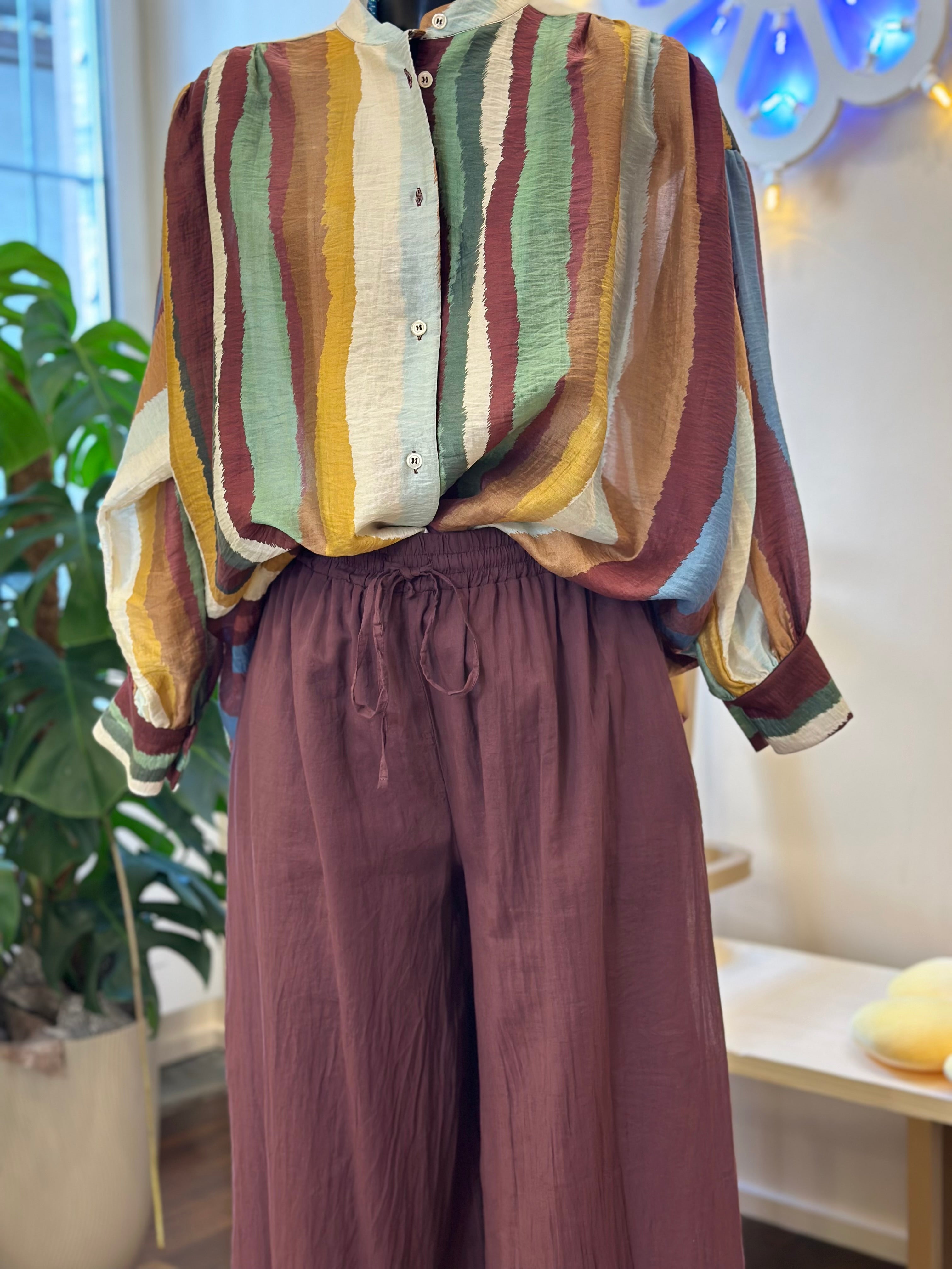 Hose – Bordeaux Vicolo